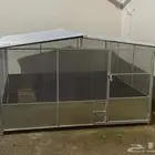 شبك جديد
