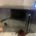 ميكرويف معايه استعمال 8 شهور
