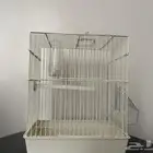 قفص كناري