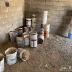 سطول بلاستيك وسقيات