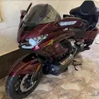 قولد وينق 2025