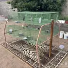 بطارية أرانب