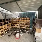 السلام عليكم ورحمة الله وبركاته