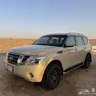 باترول بلاتينيوم 2010