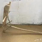توارث نوادر