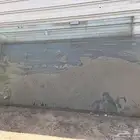 زجاج سيكوريت