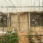 بيت محمي مكيف 40 في 9