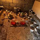 صياصان براهما كولمبي