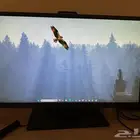 شاشه العاب احترافيه بي سي وا سوني