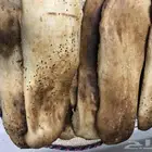 فطور رمضان حي الرمال