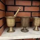 نجور وشت للبيع