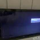 تلفزيون
