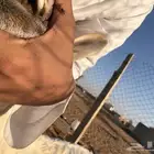 حريه تامه والد برخل عمره شهرين