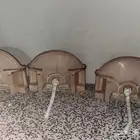 مغاسل وا مرايا