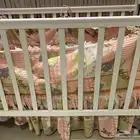 سرير أطفال للبيع