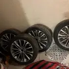 جنسس
