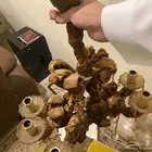 نجفه مرنه شبه جديده