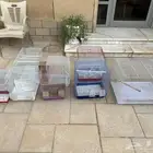 شبك طيور