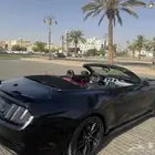 موستنج 2017 كشف