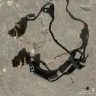 ظفيرة فورد فكتوريا وماركيز