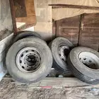 جنوط راس 315 المانيه