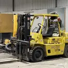 رافعة شوكية هيستر ( بريطاني )