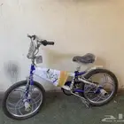 سيكل كوبرا مقاس20 على السوم