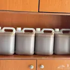 سدر جردان رقم واحد