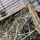 لبيع جوزين روز