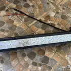 لد بار كشاف