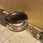 روس غاز قز ثلاثه روس مع الصواني