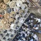 حمام زاجل