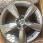 جنوط ارنوبه 2014 is