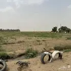 مزرعة للايجار