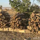 حطب مستورد حمضيات وسمر يابس كله وشرط