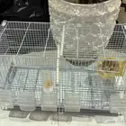 اقفاص طيور - قفص طيور ببغاء