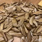اسعار جملة على عود المروكي والكلمنتان والتايقر