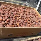 خلاص وادي طيب للبيع