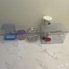 شبوك ببغاء للبيع