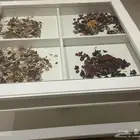 طاولة قهوه للبيع