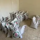 بذور بارسيم