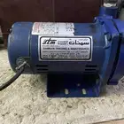 دينمو سمنان أمريكي