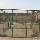 شبك بقلاوه صالح لجميع أنواع الطيور الصغيره و الكبيره