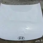 كبوت ازيرا 2024