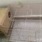 قفص