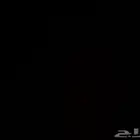 ابي سياره اقساط