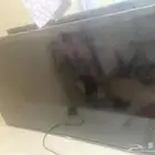 حي الملك خالد