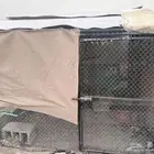 شبك دجاج للبيع