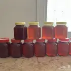 عسل سدر بلدي انتاج جديد للبيع