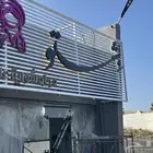 توريد وتركيب برمجه كاميرات